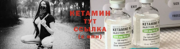 прущие грибы Новый Уренгой