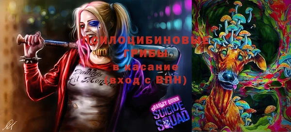 мескалин Алексин