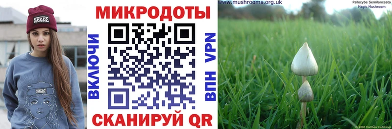 Галлюциногенные грибы мицелий  Богданович 